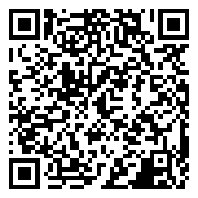 精灵盛典：黎明-极速版本